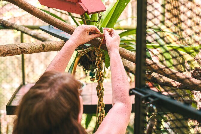 Full Day Volunteer at Wildlife Sanctuary - The Sum Up: Who Should Consider This Experience?