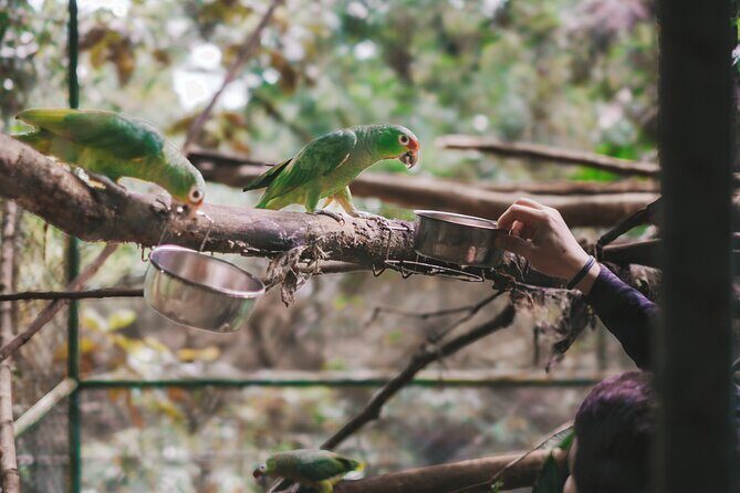 Full Day Volunteer at Wildlife Sanctuary - Final Thoughts