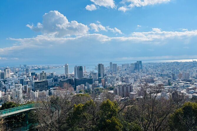Full Day Walking Tour Around Kobe Mountains Sea and Sake - A Deep Dive into the Experience