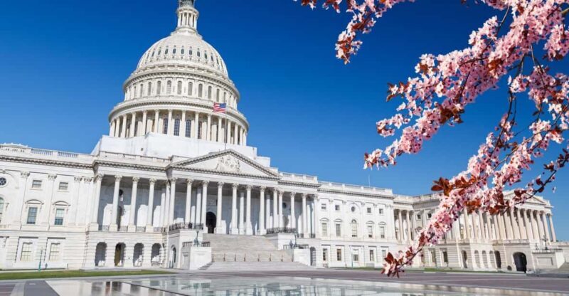 Full Day Washington DC & Mount Vernon Tour - Full Day Washington DC & Mount Vernon Tour: An In-Depth Look