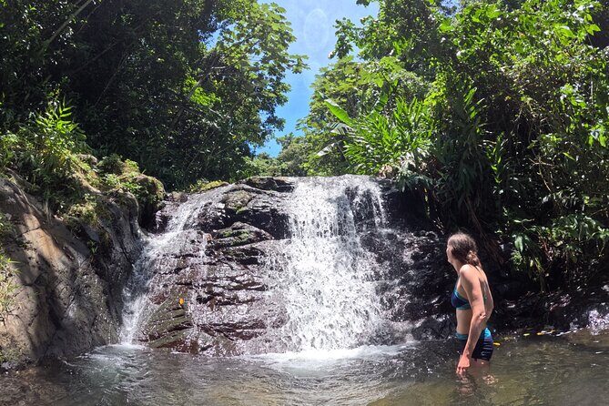 Full Day Waterfalls of Puerto Rico: Central Mountains Escape - Key Points