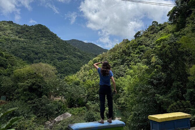 Full Day Waterfalls of Puerto Rico: Central Mountains Escape - Final Thoughts — Who Should Book This Tour?