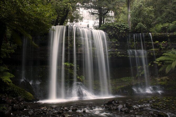 Full-Day Waterfalls, Wilderness & Wildlife Hobart Tour - Final Thoughts