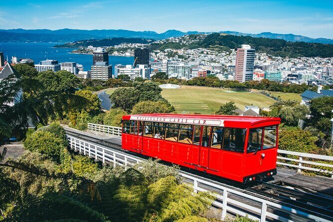 Full Day Wellington Tour - Including maoritanga - Exploring Wellington in Depth