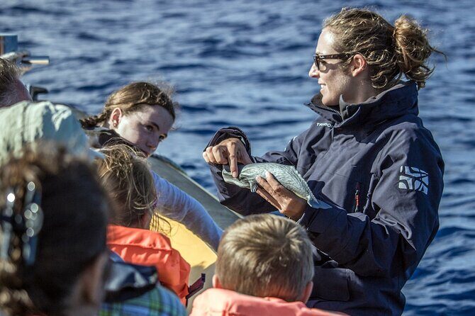 Full-Day Whales & The Princess Ring Islet (incl. Lunch) - Final Thoughts