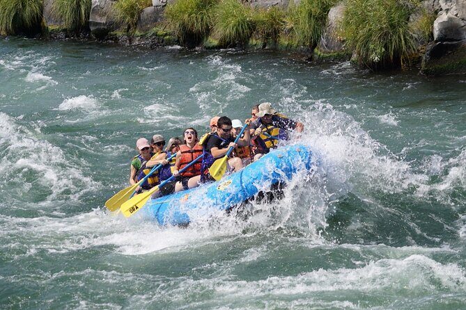 Full Day Whitewater Rafting - Deschutes River - Key Points