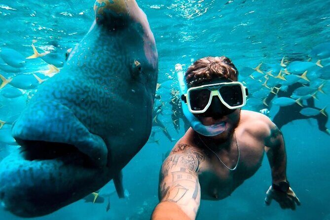 Full-Day Whitsunday Sail and Snorkel Adventure with Lunch - FAQ