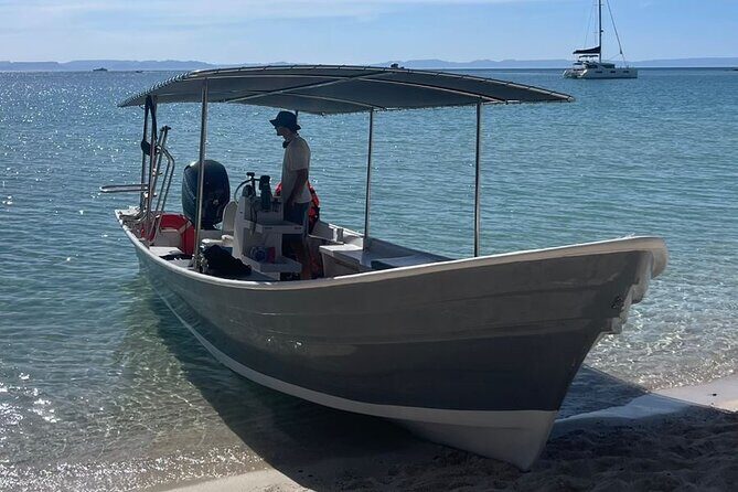 Full Day Wildlife Expedition in the Sea of Cortez - The Practical Side: Transport, Duration, and Cost