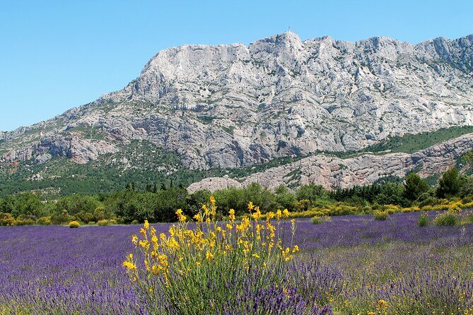 Full-Day Wine and Cheese Tour around Aix-en-Provence from Marseille - Who Is This Tour Best For?