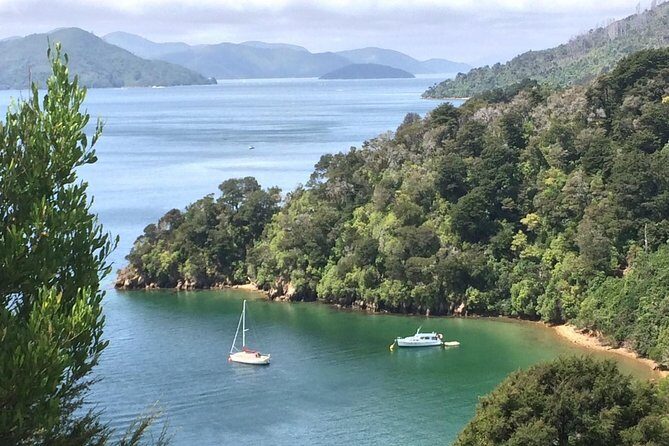 Full-Day Wine Gourmet and Scenic Delight Tour of Marlborough from Blenheim - Final Thoughts