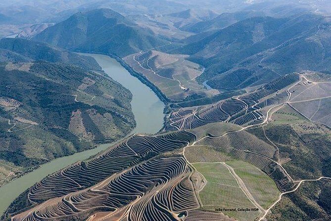 Full Day, Wine Tasting, River Cruise and Lunch from Porto - A Detailed Look at the Tour Experience