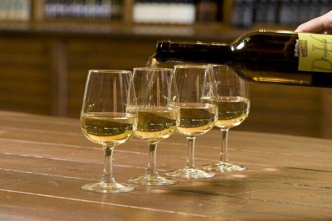Full-Day Wine Tasting Tour in Athens with Visit to Cape Sounio - An In-Depth Look at the Full-Day Wine Tour in Athens