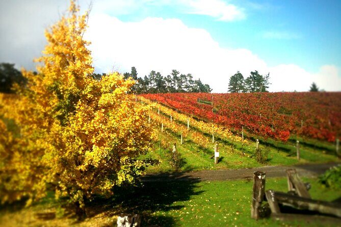 Full-Day Wine Tasting Tour in Auckland with 3-Course Vineyard Lunch - Who Should Consider This Tour?