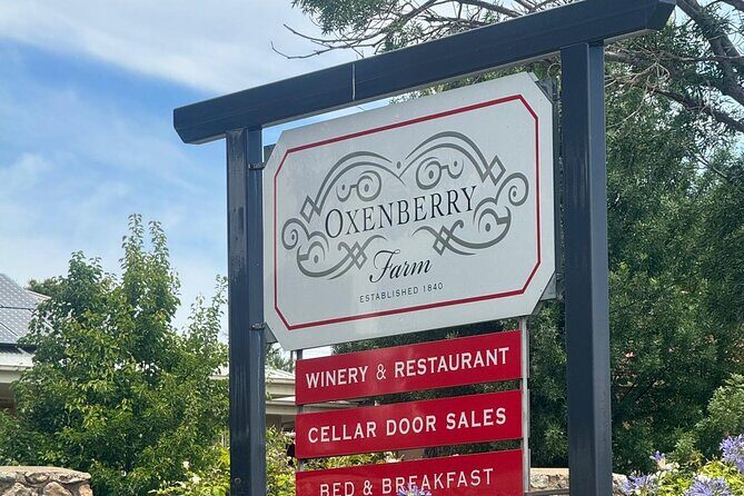 Full Day Wine Tasting Tour in McLaren Vale - Key Points