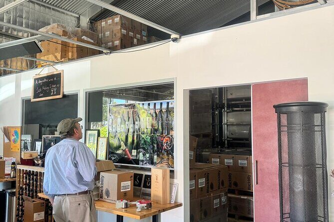 Full Day Wine Tasting Tour in McLaren Vale - The Sum Up: Is This Tour for You?
