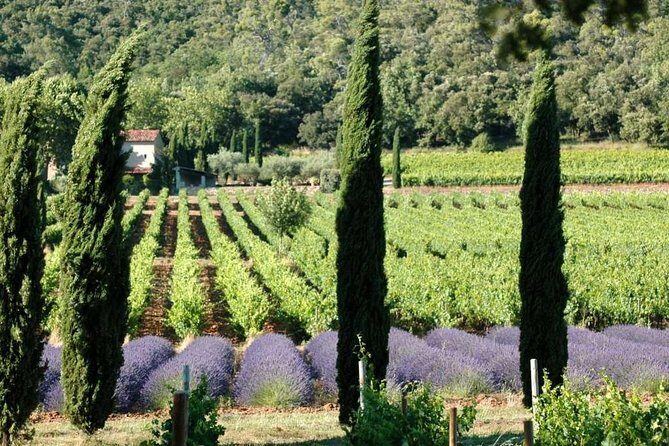 Full-Day Wine Tour around Luberon from Marseille - A Taste of Provence: Full-Day Luberon Wine Tour from Marseille