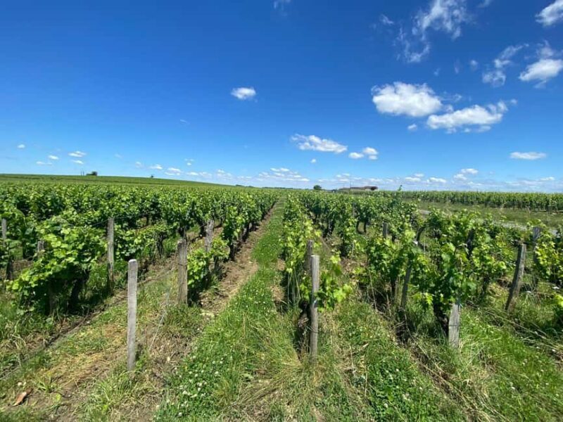 Full Day Wine tour in saint emilion & Margaux - Frequently Asked Questions (FAQs)