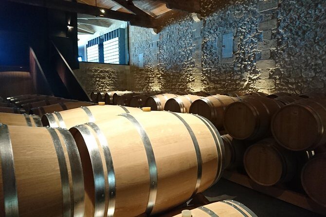 Full-day wine tour in Saint-Emilion (Premium Sedan) - Final Verdict