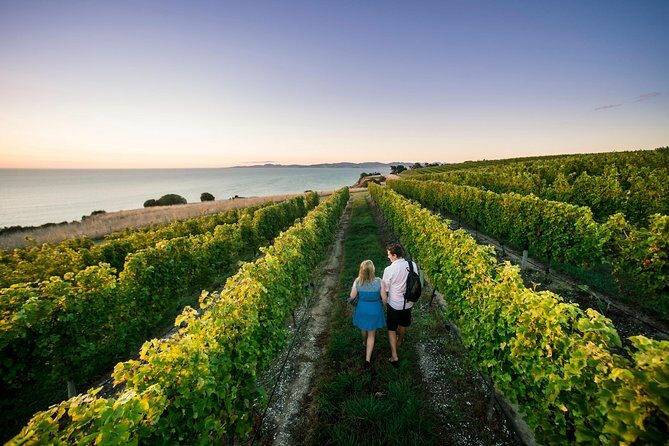 Full Day Winemakers Tour in Marlborough - What Makes This Tour Stand Out?