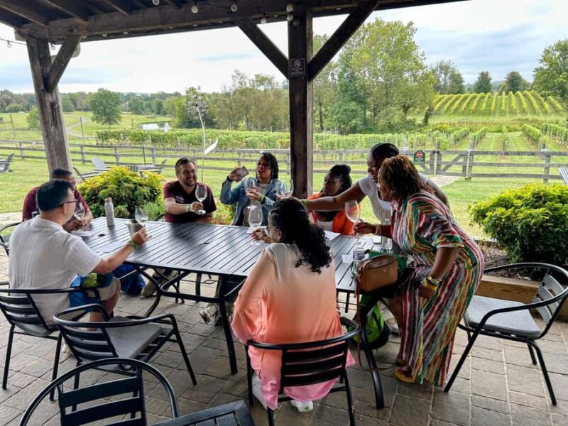 Full Day Winery Tour from Metro DC & Leesburg - 3 Wineries - What Makes This Tour Stand Out?