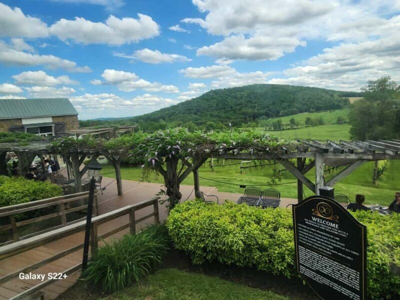 Full Day Winery Tour from Metro DC & Leesburg - 3 Wineries - Final Thoughts: Is This Tour Right for You?
