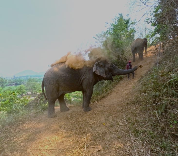 Full-day with CHIANGMAI ELEPHANT CARE and Sticky waterfall - Practical Details and Why They Matter