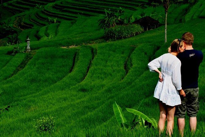 Full Day Wonders of Bali Private Tour with Pickup and Lunch - Key Points