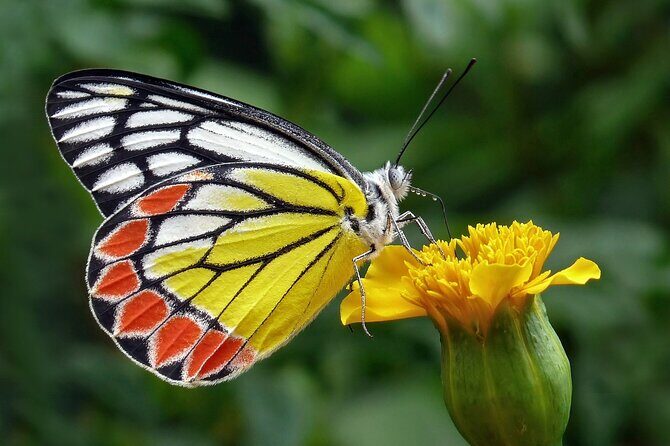 Full Day Wonders of Bali Private Tour with Pickup and Lunch - Final Thoughts