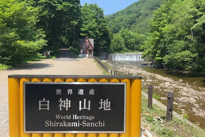 Full Day World Heritage Shirakami Mountains Hiking Tour - Exploring the Shirakami Mountains: A Deep Dive