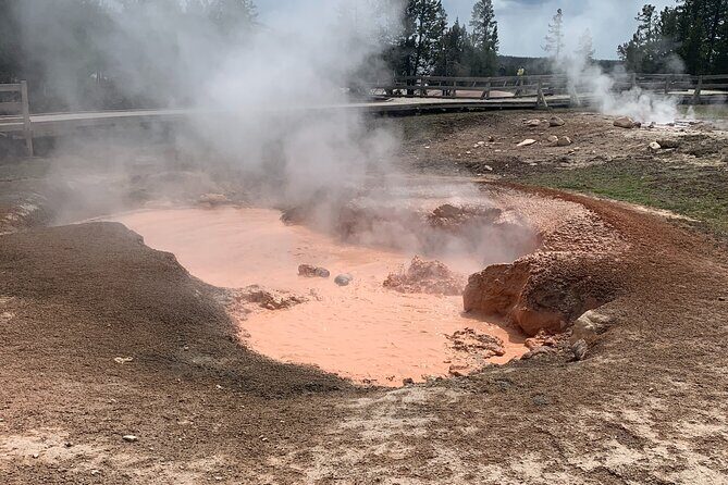 Full Day Yellowstone Lower Loop and Safari from Jackson Hole - Final Word