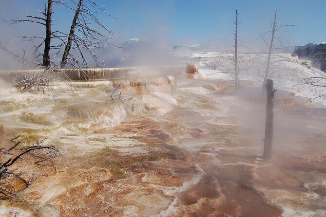 Full-Day Yellowstone Upper (Northern) Loop Tour - In-Depth Look at the Yellowstone Upper (Northern) Loop Tour
