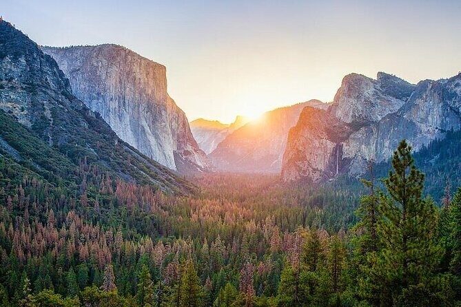 Full Day Yosemite National Park Tour from Oakland - Authentic Experiences: What Travelers Are Saying