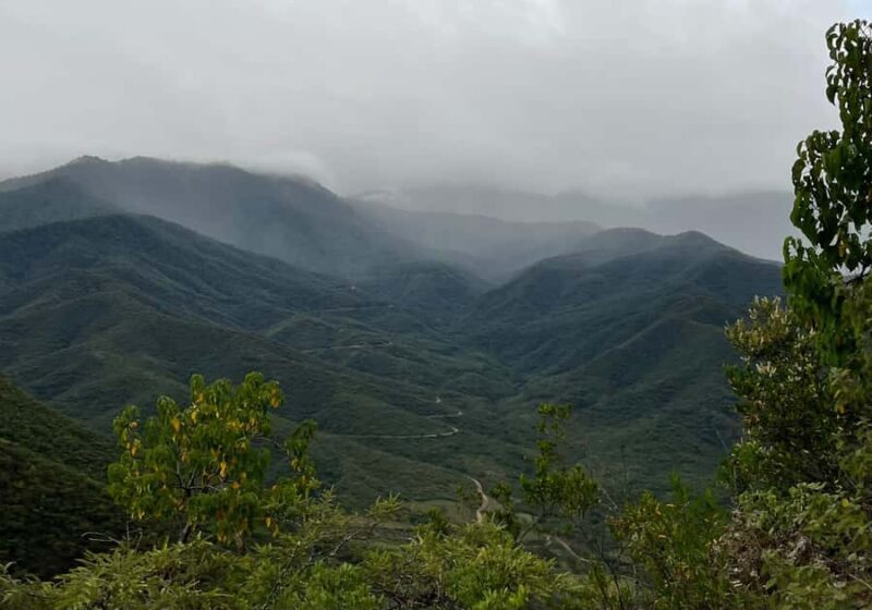 Full-day Zapotec tour in Teotitlán del Valle and El Picacho - Who Is This Tour Best For?