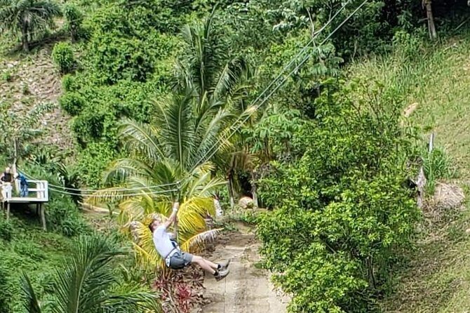 Full-Day Zipline Adventure and Beach Club Visit on Roatan Island, Honduras - Key Points