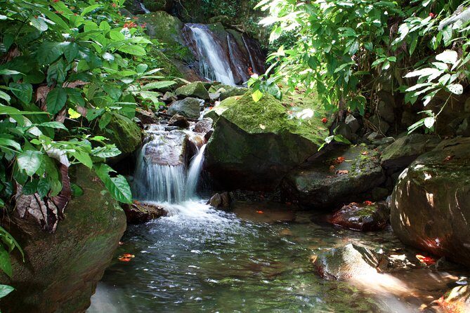 Full-Day Zipline and Waterfall Rappelling Adventure Near San Juan - Practical Tips for a Great Experience