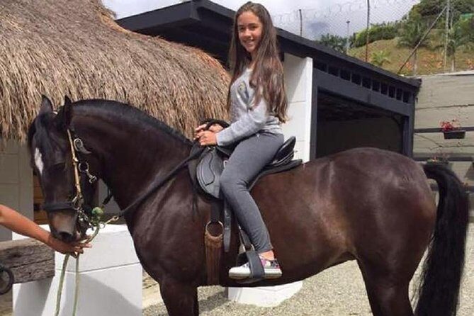 Full-Day Zipline, ATV and Horseback Riding Private Adventure from Medellín - Key Points