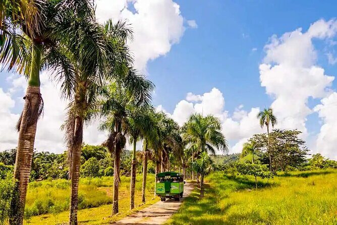 Full Dominican Adventure: Zipline, ATV Buggie, Horseback & Safari - FAQ