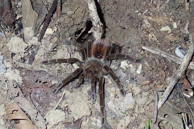 Full Expedition 5Days 4Nights - Amazon Wonder Expeditions - The Sum Up: Authenticity, Adventure, and Education