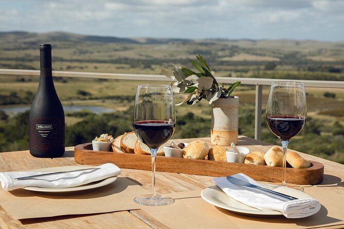 Full Experience Tasting Menu Viña Edén - Key Points