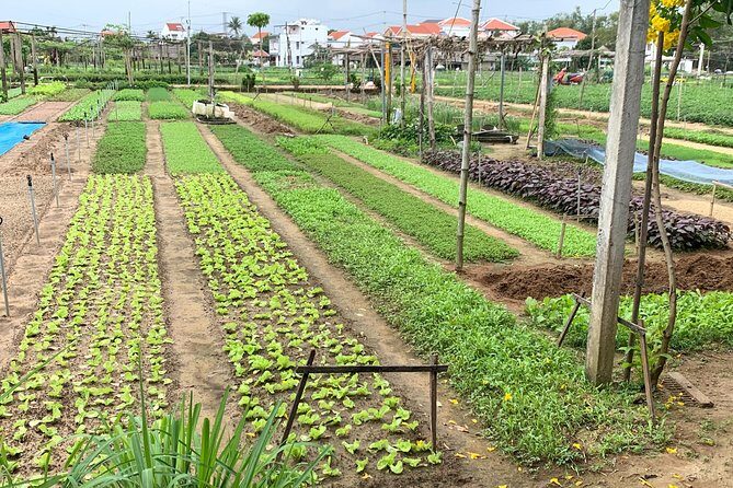 Full Experience Tour: Cooking Class & Basket Boat at Eco-Village - A Complete Day of Vietnamese Culture: Cooking, Farming, and Watercraft at Eco-Village