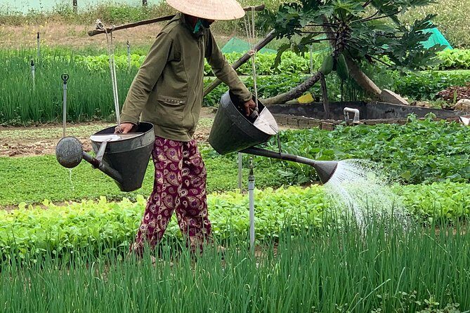 Full Experience Tour: Cooking Class & Basket Boat at Eco-Village - Exploring the Details: What to Expect