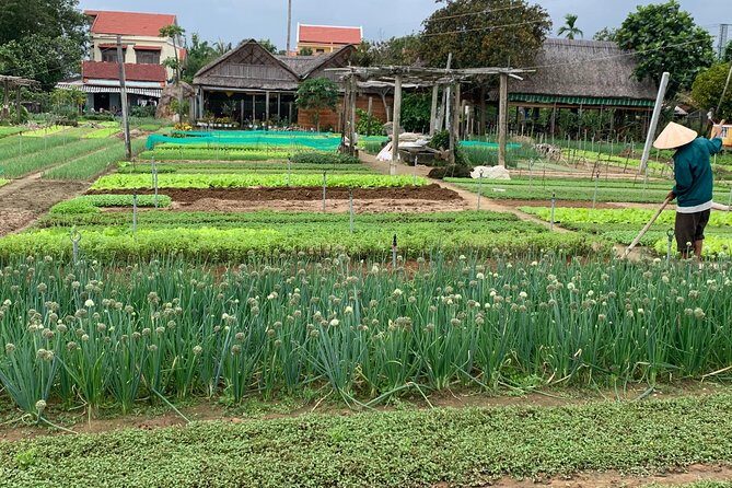 Full Experience Tour: Cooking Class & Basket Boat at Eco-Village - Final Thoughts