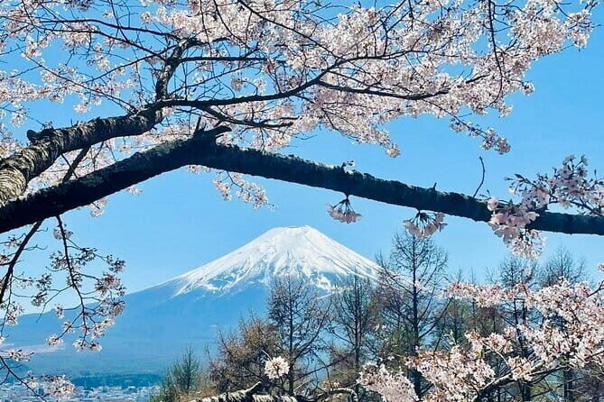 Full Guided Mt. Fuji & Hakone Attractive Private Day Tour - Exploring the Highlights of the Full Guided Mt. Fuji & Hakone Private Tour