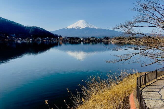 Full Guided Mt. Fuji & Hakone Attractive Private Day Tour - Final Thoughts