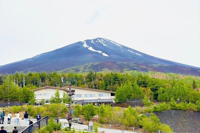 Full Guided Mt. Fuji & Hakone Attractive Private Day Tour - FAQs