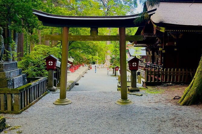 Full Guided Mt. Fuji & Shiba-Sakura Festival One Day Pvt.Tour - Who Should Consider This Tour?