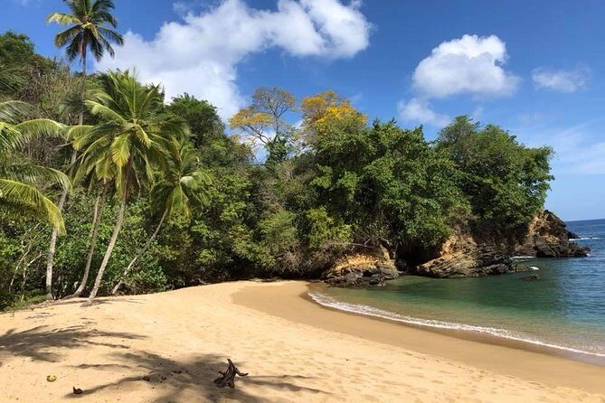 Full Island Tour (Including Lunch & Snorkeling) - Introduction: Why This Full Island Tour Stands Out