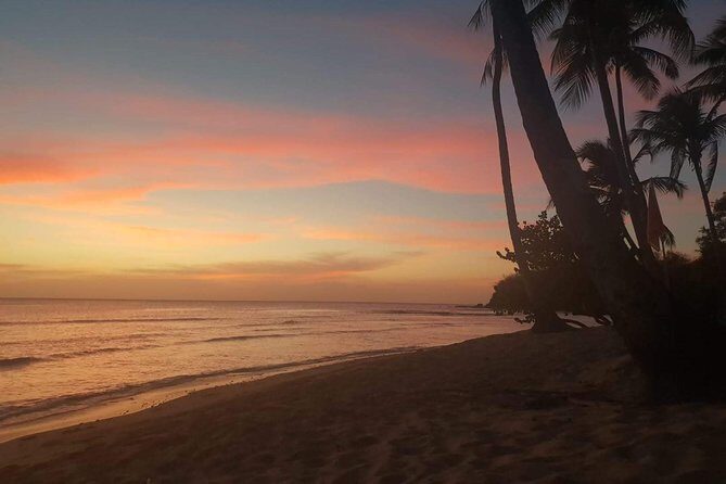 Full Island Tour (Including Lunch & Snorkeling) - Final Thoughts: Who Will Love This Tour?