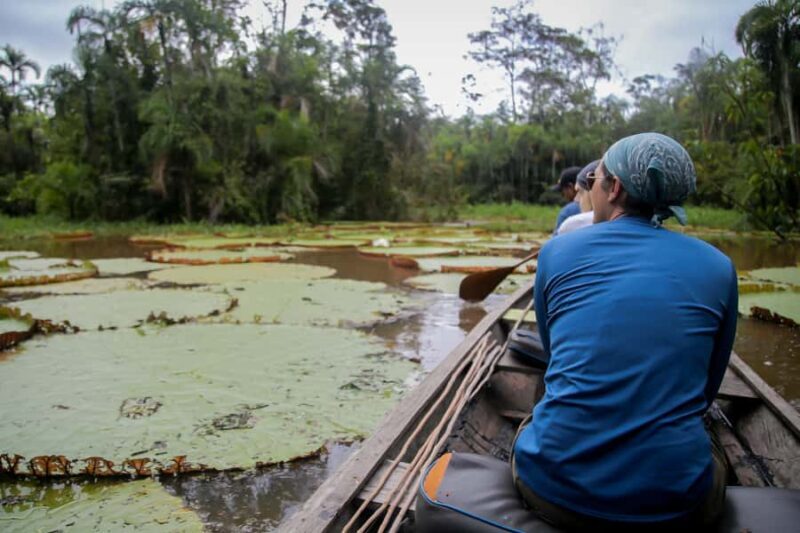 Full jungle experience - Full Jungle Experience in Peru’s Huanuco Region: An Authentic Amazon Adventure