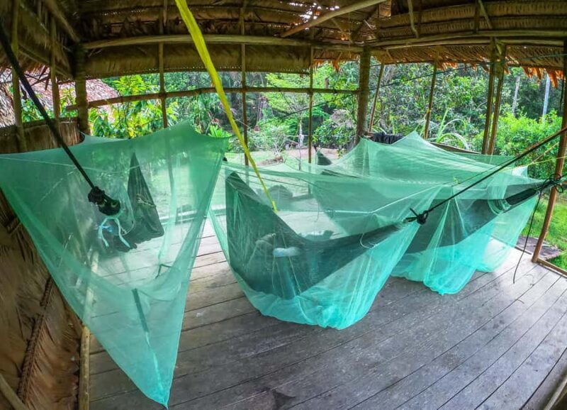 Full jungle experience - Final Thoughts: Who Is This Tour Best For?